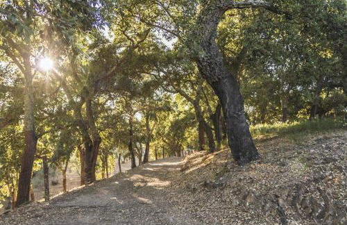 Pozuelo 2 JABUGO - Foto 13