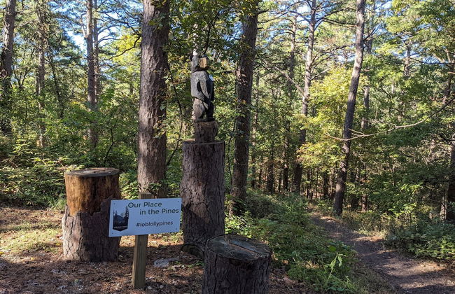 Loblolly Pines Adventure Camp - Foto 9