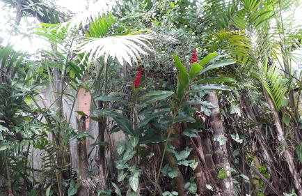 Casa térrea - Foto 27