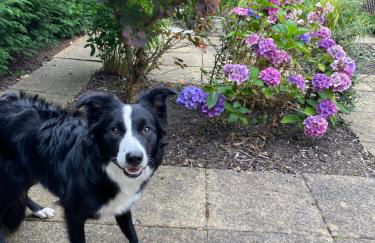 Warren Hey - Lovely 1 bedroom property with garden - Foto 24