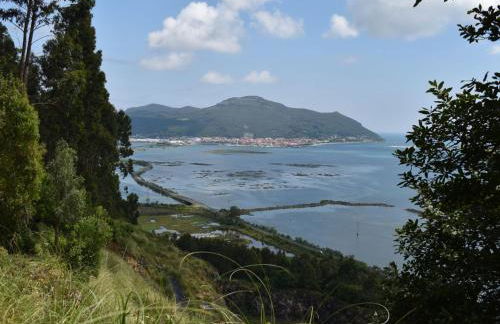 Apartamentos Tierra y Arte - Foto 64