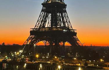 View on Eiffel Tower Seine and Main Monuments - Photo 12