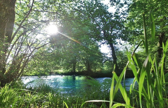 VVF Château sur la Vienne Lac de Vassivière, Nedde - Foto 15