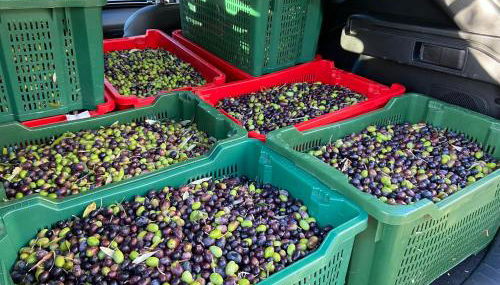 Casa l'Arcobaleno - Foto 5