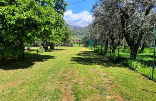 Versillia Olive Residence - Foto 33