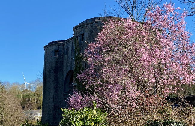 Châtelet de Barbençon - Foto 41