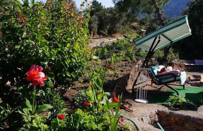 Shiva Camp - Foto 41