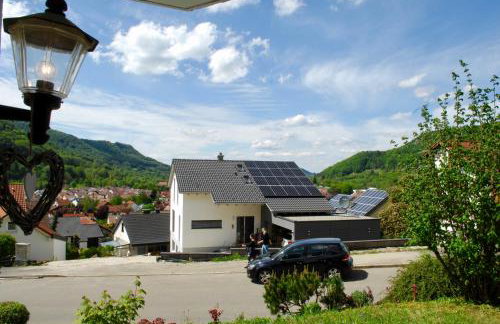 Apartments "Lichtenstein Valley" - Foto 16