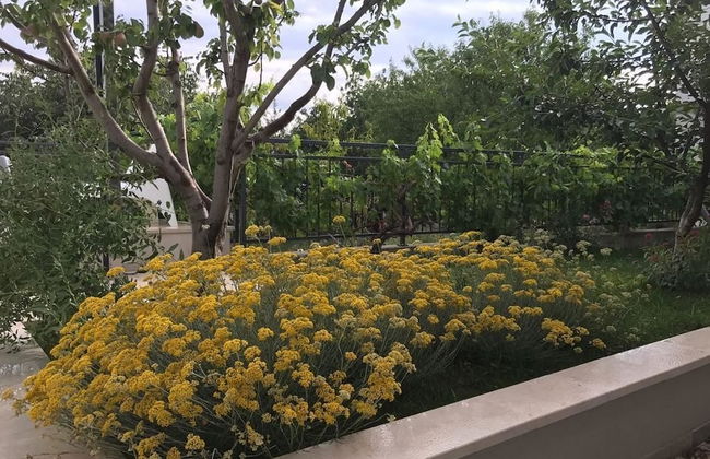 Villa Amare - Foto 26