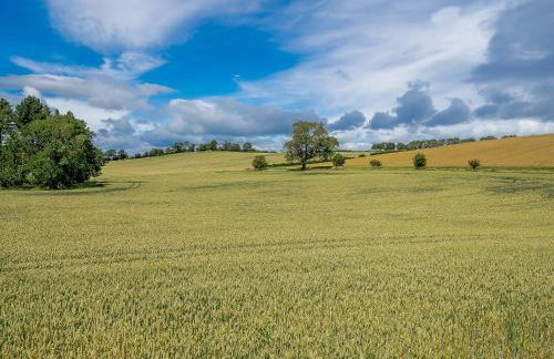 Turnip Cottage - Photo 8