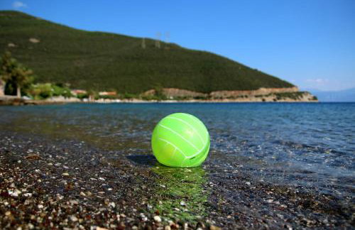 Amaryllis Holiday Home - Photo 8