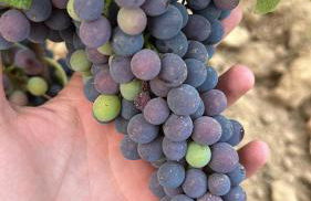 Agriturismo Re di Fiori - Foto 48