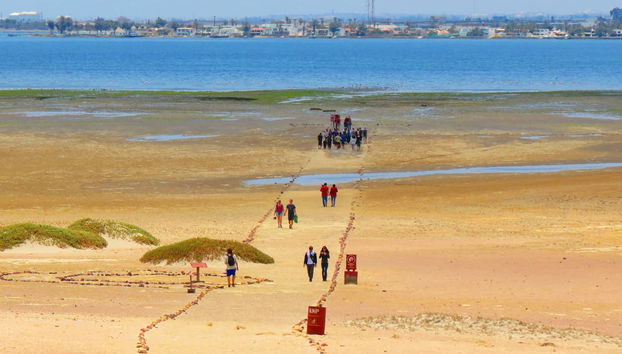 Escursione alla Riserva Nazionale di Paracas - Foto 3