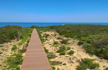 Monte da Sapaleira - Foto 53
