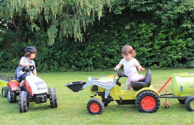 Farm Ferienhof Albert - Photo 10