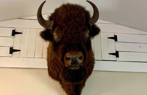 Beaver Dam Mountain Cabins - Foto 22