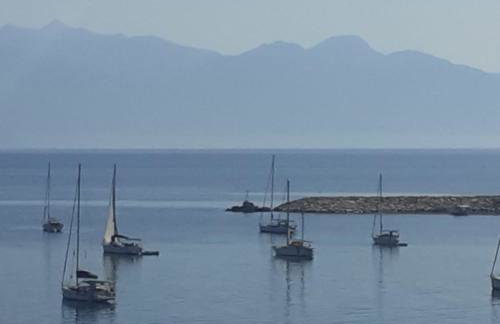 LimonoSpito - Photo 42