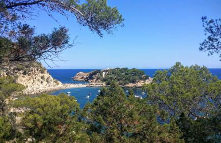 Hotel Rural Can Maries - Foto 8