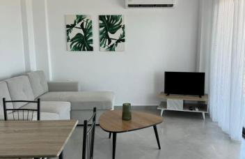 Suites Kombucha - Photo 6