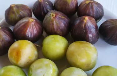 Agriturismo I Tre Ulivi - Foto 80