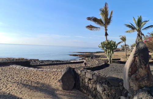 Blue Ocean - Foto 25