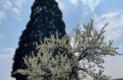 Bergchalet Mirabell - Hofgut - Foto 28