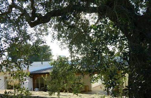 Agriturismo Serra Vecchia - Foto 28