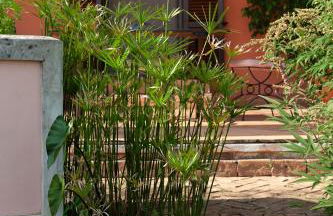 Agriturismo La Vecchia Quercia - Foto 60