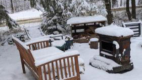 Plant House - Foto 3