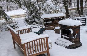 Plant House - Foto 3