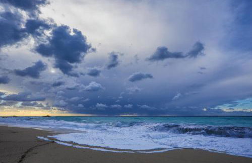 Ble on Blue - Photo 78