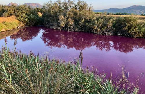 Atico Grecia - Foto 44