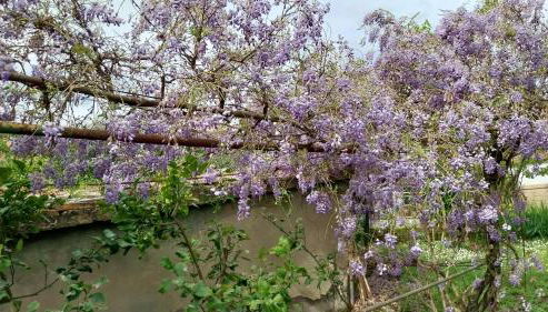 Casa di Giulia (Bambini gratis fino a 6 anni) - Foto 3, Garden