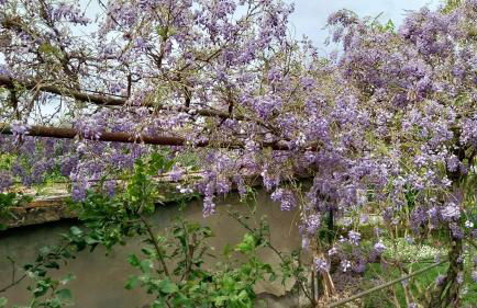 Casa di Giulia (Bambini gratis fino a 6 anni) - Foto 3