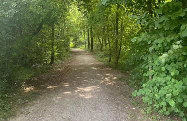 Mojos Bodenseetraum - Photo 31