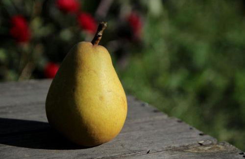 Ferienwohnung Butterbirne - Photo 1