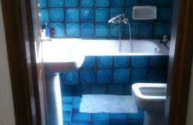 Blue Dandelion - Photo 13