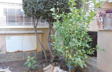 APARTAMENTO DÚPLEX VERA-GARRUCHA - Foto 34