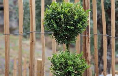 maison du olival - Foto 34