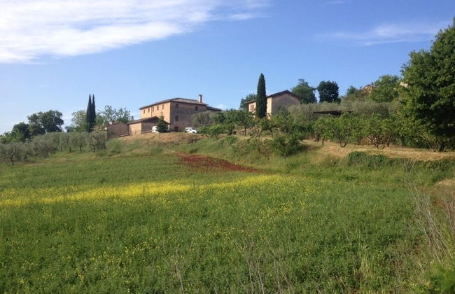 Agriturismo Podere Ficareto - Foto 79