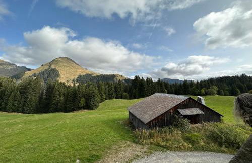 Studio au cœur du Praz-de-Lys - Les Pralyssimes - Foto 12