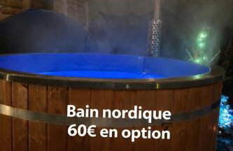 studio Avec piscine et Spa Privatif Extérieur 4 personnes - Foto 2