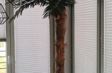 Lux-house Braniewo - Foto 11