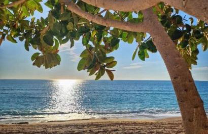 Villa Olvia - Foto 6