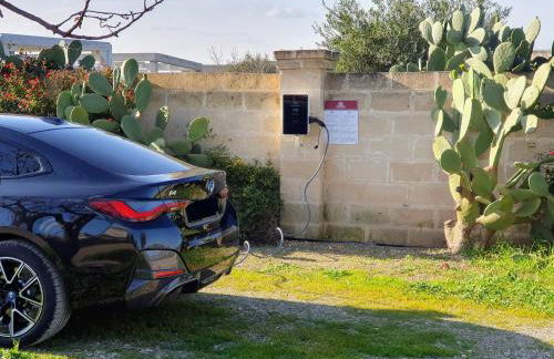 Masseria Agrituristica Lama San Giorgio - Foto 15