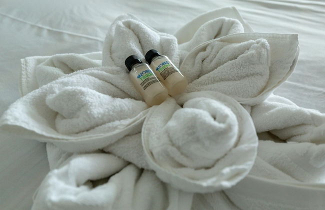 Quinta do Mar - Watch The Sun Rise Over The Ocean - Photo 14