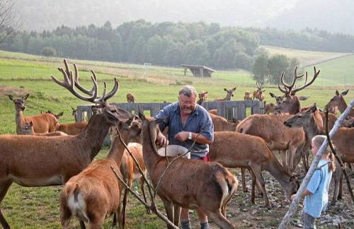 Farmhouse in Hutthurm for 4 people - Foto 24