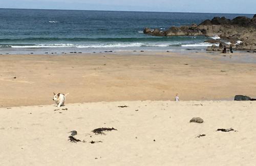 The Stable - Near St Ives Beaches Dog Friendly - Foto 51