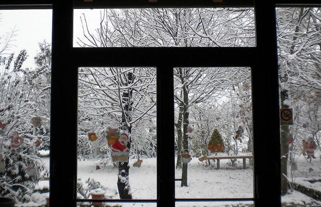 Agriturismo L' Ulivo - Foto 2