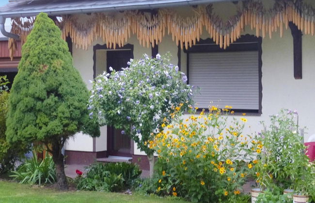 Reihenhaus in Lubben an der Spree - Foto 11